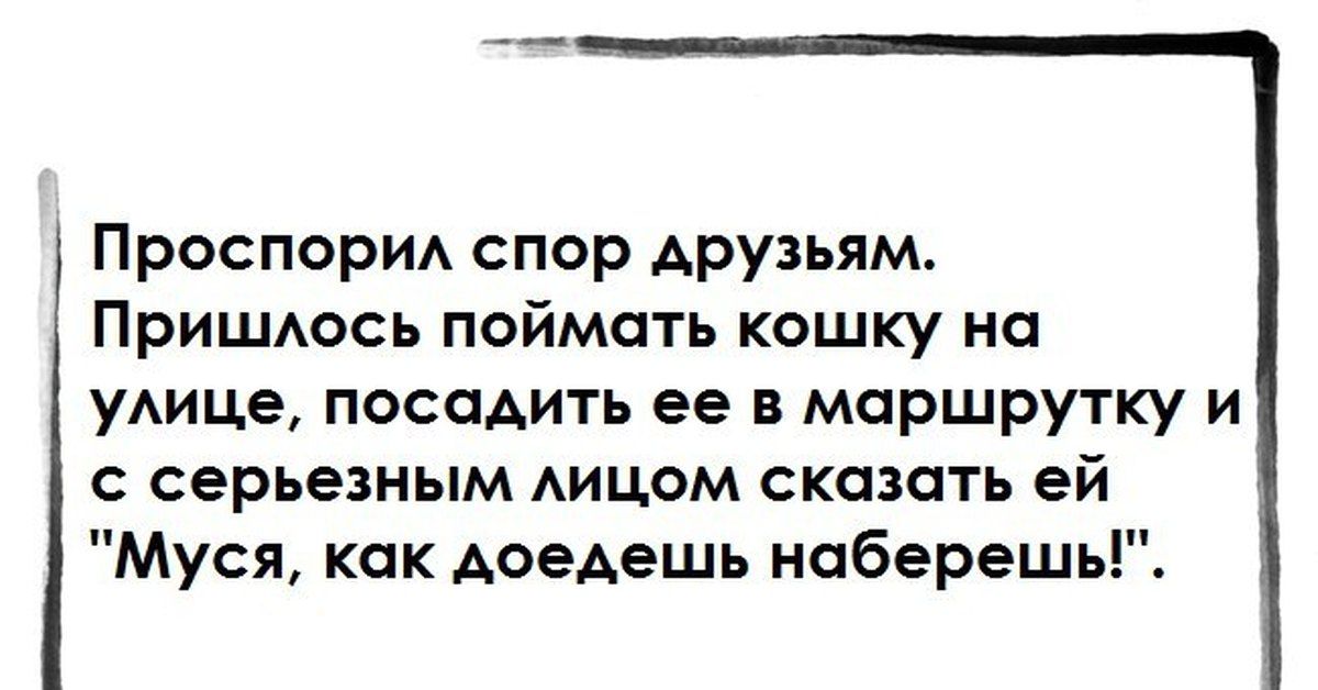 Проспорил спор друзьям. Пришлось поймать кошку на улице, посадить её в маршрутку и с серьёзным лицом сказать ей 