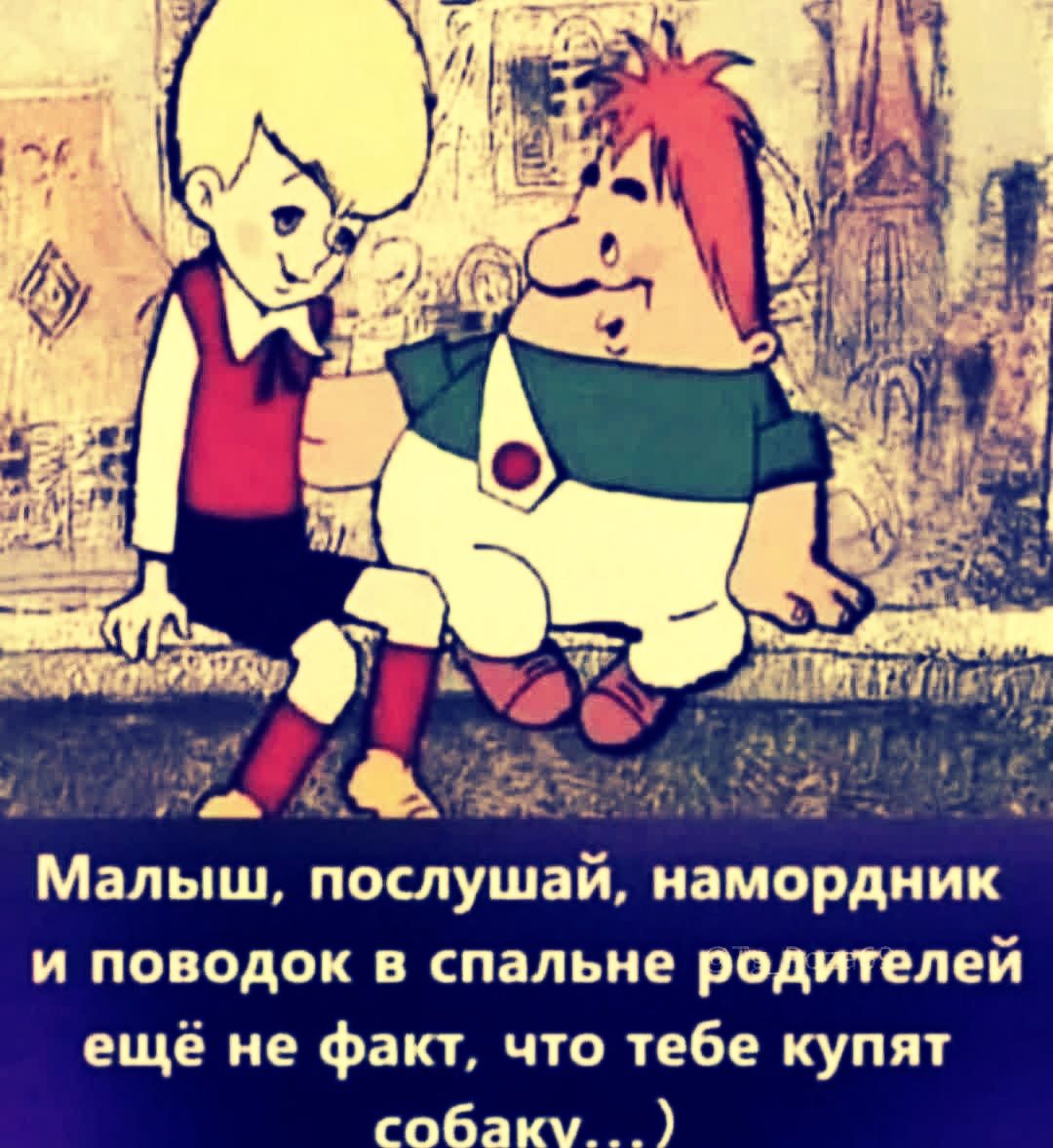Малыш, послушай, намордник и поводок в спальне родителей ещё не факт, что тебе купят собаку…)