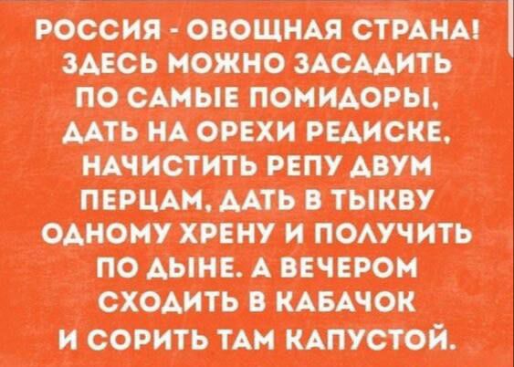 РОССИЯ - ОВОЩНАЯ СТРАНА! ЗДЕСЬ МОЖНО ЗАСАДИТЬ ПО САМЫЕ ПОМИДОРЫ, ДАТЬ НА ОРЕХИ РЕЙСКЕ, НАЧИСТИТЬ РЕПУ ДВУМ ПЕРЦАМ, ДАТЬ В ТЫКВУ ОДНОМУ ХРЕНУ И ПОЛУЧИТЬ ПО ДЫНЕ. А ВЕЧЕРОМ СХОДИТЬ В КАБАЧОК И СОРИТЬ ТАМ КАПУСТОЙ.