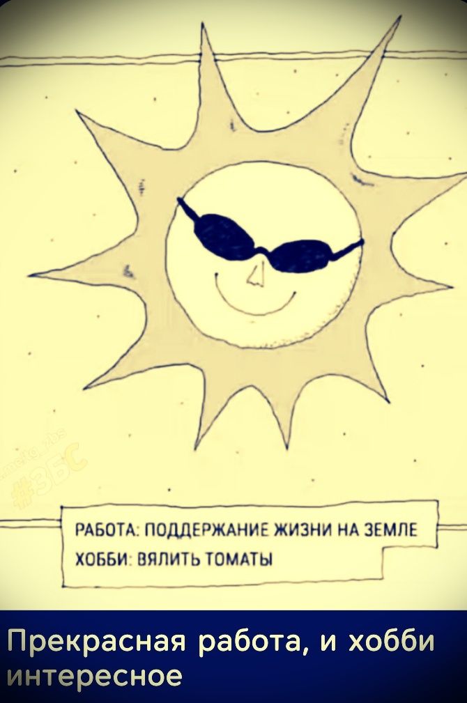 РАБОТА: ПОДДЕРЖАНИЕ ЖИЗНИ НА ЗЕМЛЕ ХОББИ: ВЯЛИТЬ ТОМАТЫ
Прекрасная работа, и хобби интересное