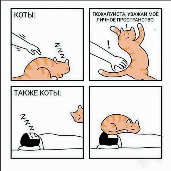 КОТЫ:\nПОЖАЛУЙСТА, УВАЖАЙ МОЕ ЛИЧНОЕ ПРОСТРАНСТВО\nТАКЖЕ КОТЫ:\n