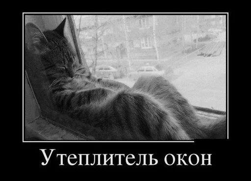 Утеплитель окон