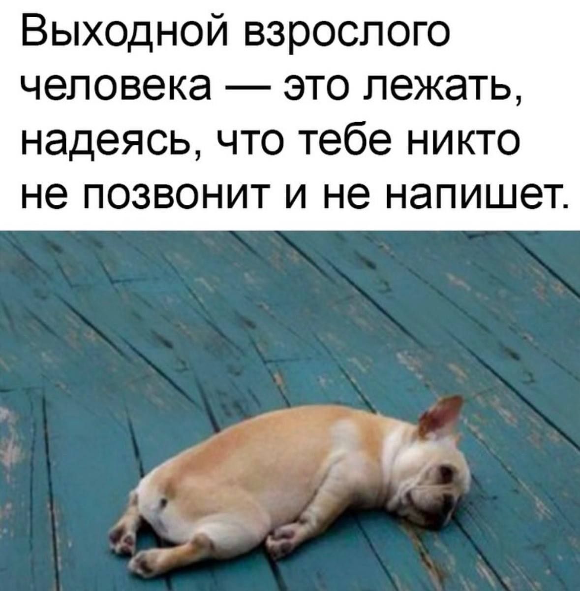 Выходной взрослого человека — это лежать, надеясь, что тебе никто не позвонит и не напишет.