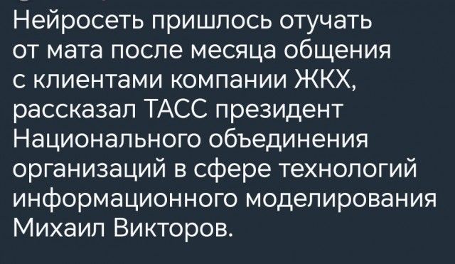 Нейросеть пришлось отучать от мата после месяца общения с клиентами компании ЖКХ, рассказал ТАСС президент Национального объединения организаций в сфере технологий информационного моделирования Михаил Викторов.