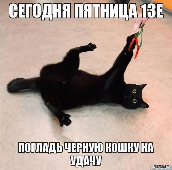 СЕГОДНЯ ПЯТНИЦА 13Е ПОГЛЯДЬ ЧЕРНУЮ КОШКУ НА УДАЧУ