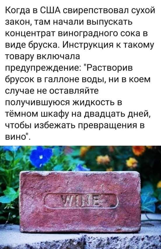 Когда в США свирепствовал сухой закон, там начали выпускать концентрат виноградного сока в виде бруска. Инструкция к такому товару включала предупреждение: 