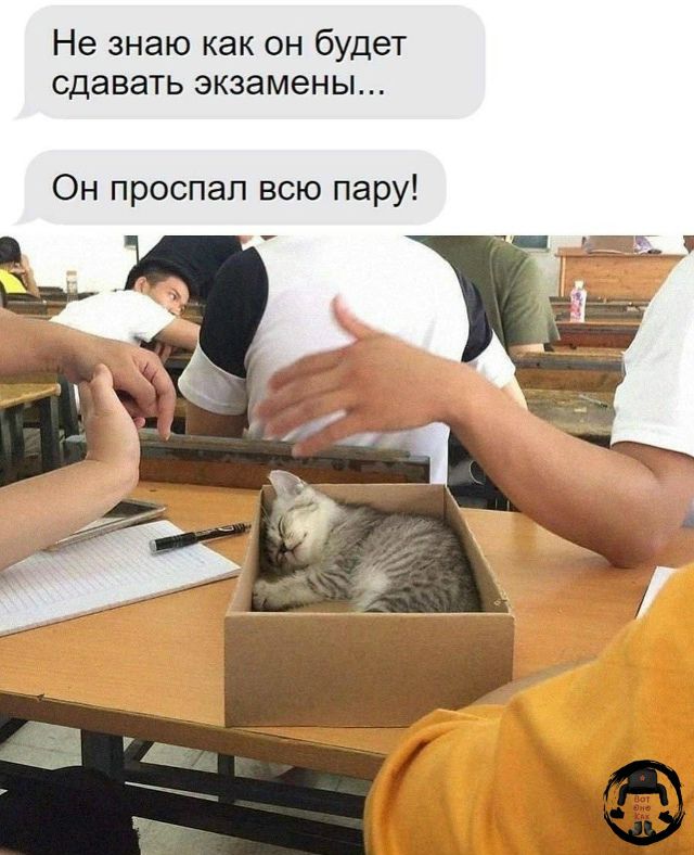 Не знаю как он будет сдавать экзамены...
Он проспал всю пару!