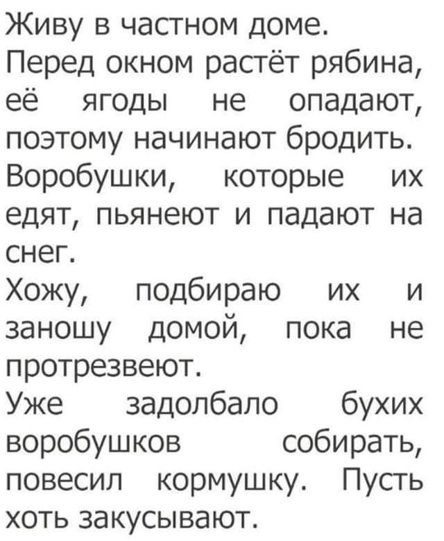 Живу в частном доме.
Перед окном растёт рябина, её ягоды не опадают, поэтому начинают бродить.
Воробушки, которые их едят, пьянеют и падают на снег.
Хожу, подбираю их и заношу домои, пока не протрезвеют.
Уже задолбало бухих воробушков собирать, повесил кормушку. Пусть хоть закусывают.