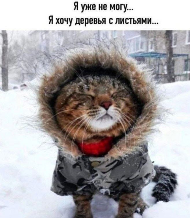 Я уже не могу... Я хочу деревья с листьями...