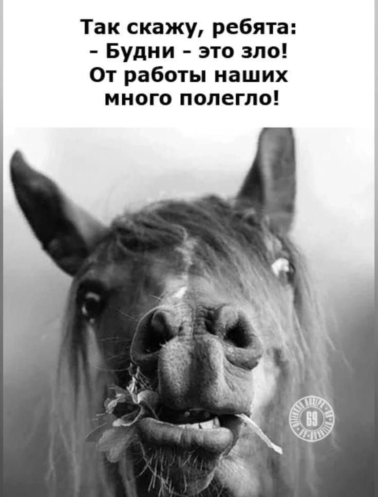 Так скажу, ребята: - Будни - это зло! От работы наших много полегло!