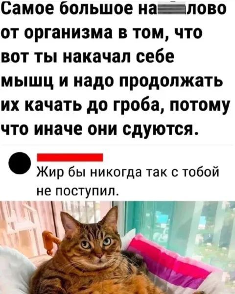 Самое большое на____лово от организма в том, что вот ты накачал себе мышцы и надо продолжать их качать до грба, потому что иначе они сдуются.
• Жир бы никогда так с тобой не поступил.