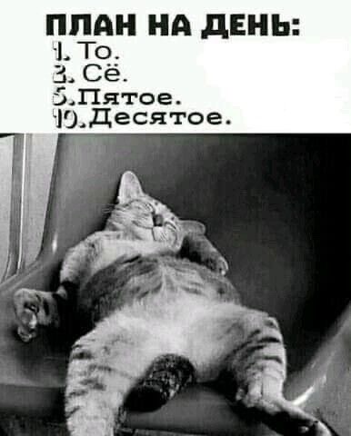 ПЛАН НА ДЕНЬ:
1. То.
2. Сё.
3. Пятое.
10. Десятое.