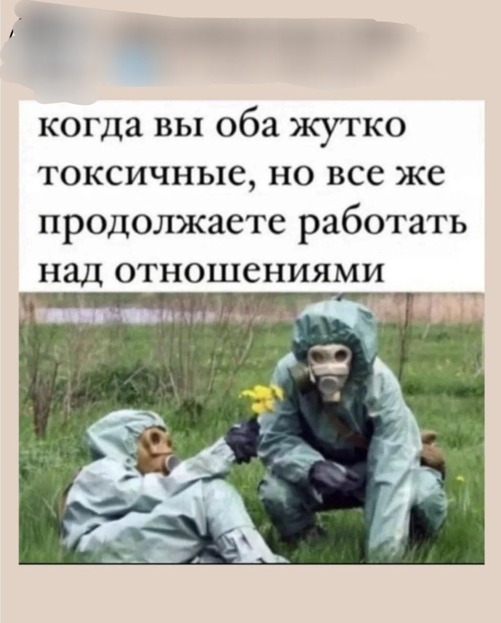 когда вы оба жутко токсичные, но все же продолжаете работать над отношениями
