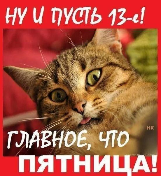 Ну и пусть 13-й! Главное, что пятница!