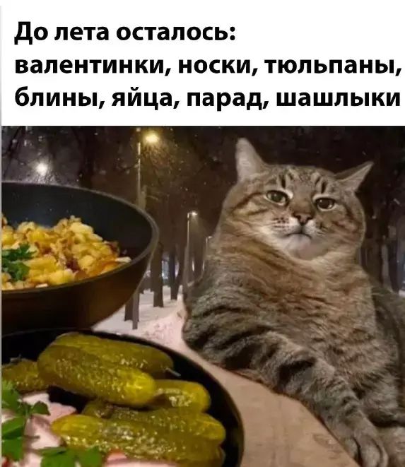 До лета осталось: валентинки, носки, тюльпаны, блины, яйца, парад, шашлыки