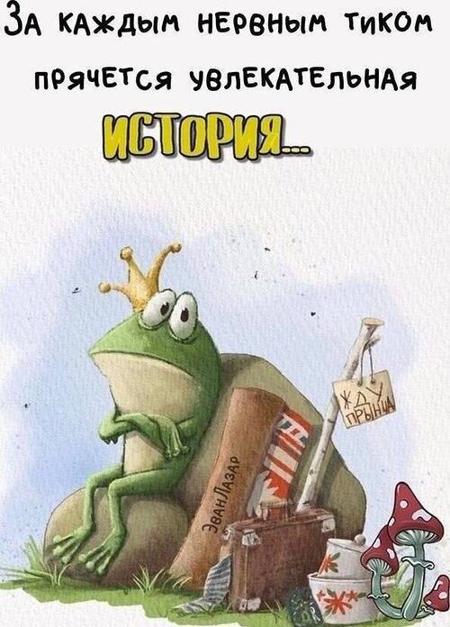 За каждым нервным тиком прячется увлекательная история...
История...