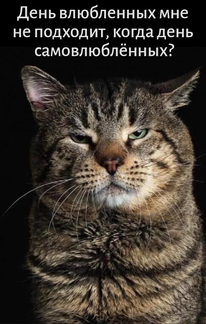 День влюбленных мне не подходит, когда день самовлюблённых?