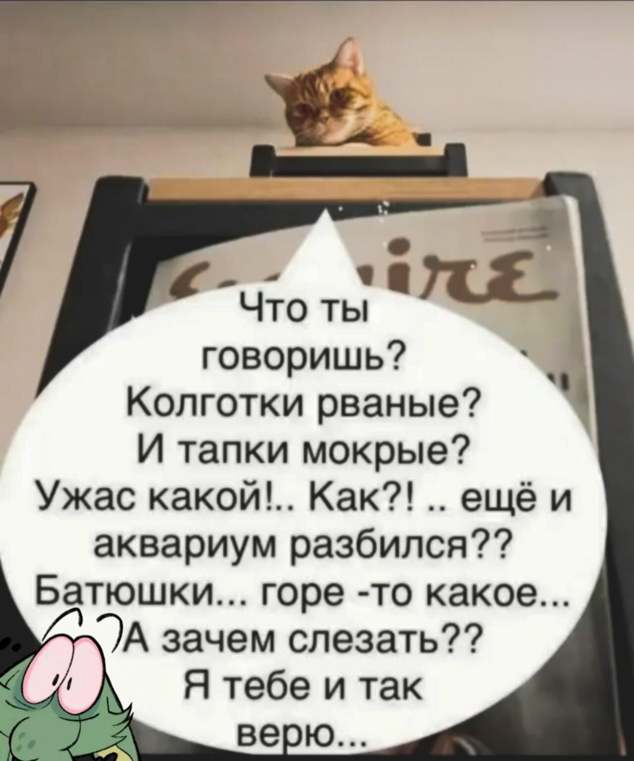 Что ты говоришь? Колготки рваные? И тапки мокрые? Ужас какой!.. Как?! .. ещё и аквариум разбился?? Батюшки... горе-то какое... А зачем слезать?? Я тебе и так верю...