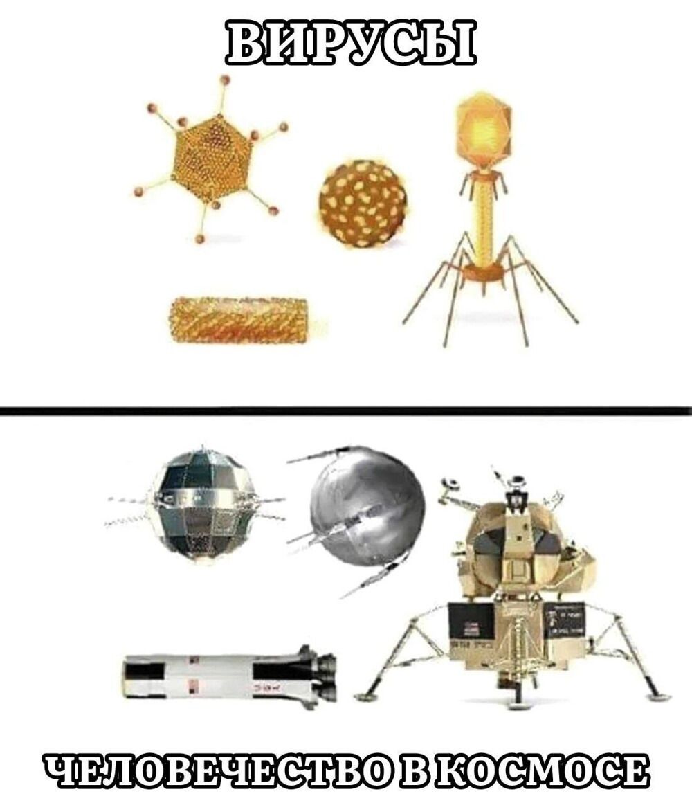 ВИРУСЫ\nЧЕЛОВЕЧЕСТВО В КОСМОСЕ