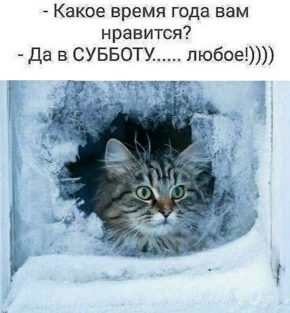 - Какое время года вам нравится? - Да в СУББОТУ...... любое!)))))