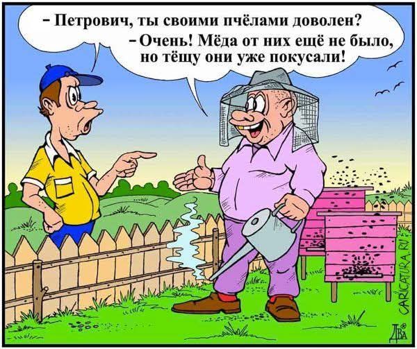 - Петрович, ты своими пчёлами доволен? - Очень! Мёда от них ещё не было, но тёщу они уже покусали!