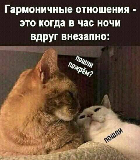 Гармоничные отношения - это когда в час ночи вдруг внезапно:
пошли пожрём?
пошли