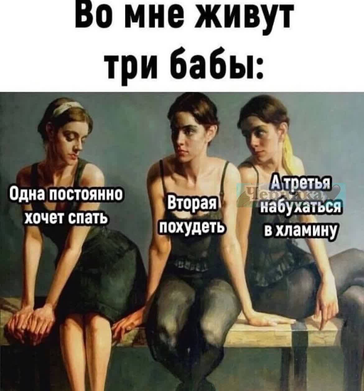 Во мне живут три бабы: Одна постоянно хочет спать Вторая похудеть Артёта набухаться в хлами́ну