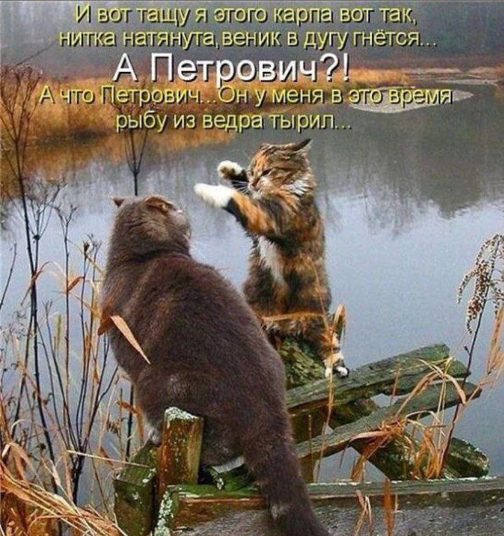 И вот тащу я этого карпа вот так, нитка натянута, веник в дугу гнётся...\nА Петрович?!\nА что Петрович... Он у меня в это время рыбу из ведра тырил...