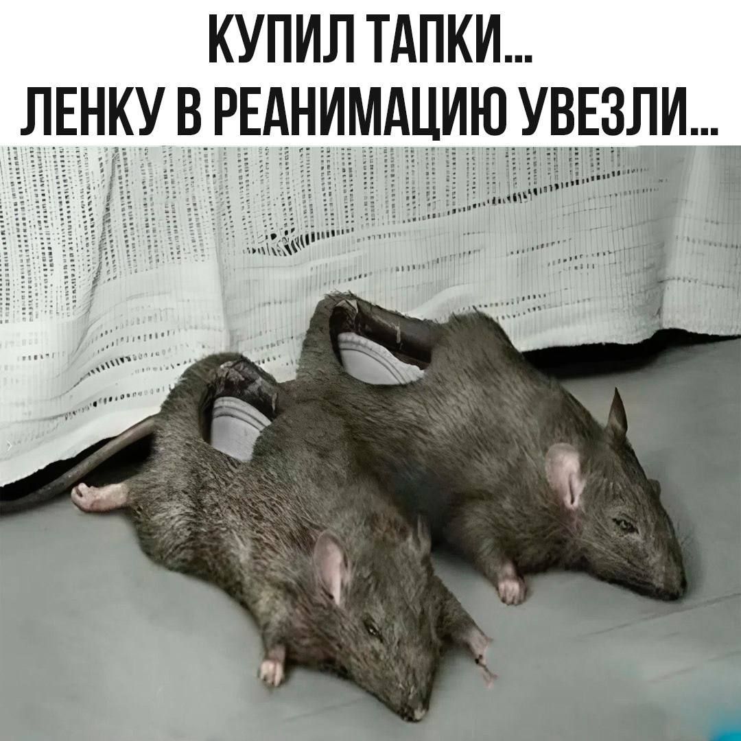 КУПИЛ ТАПКИ... ЛЕНКУ В РЕАНИМАЦИЮ УВЕЗЛИ...