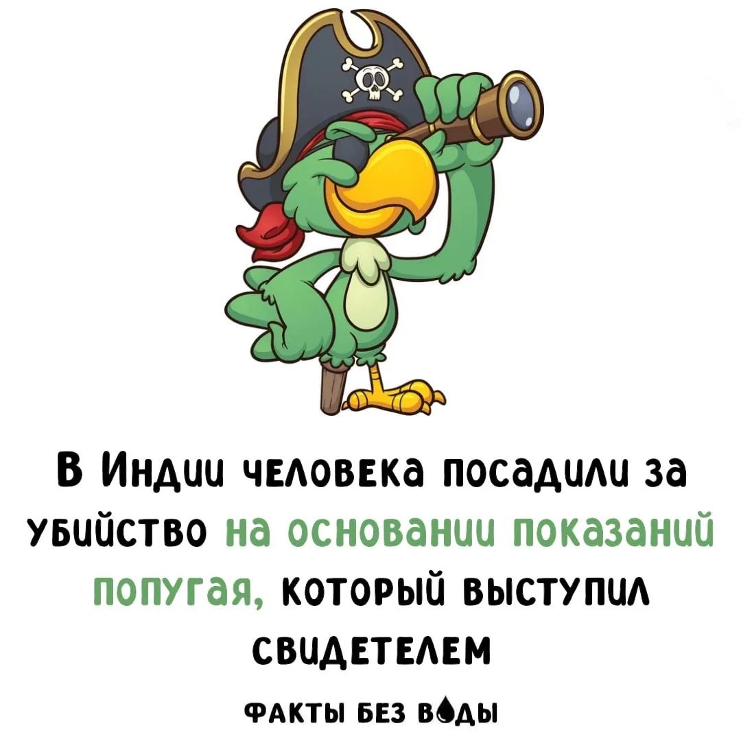 В Индии человека посадили за убийство на основании показаний попугая, который выступил свидетелем. Факты без воды