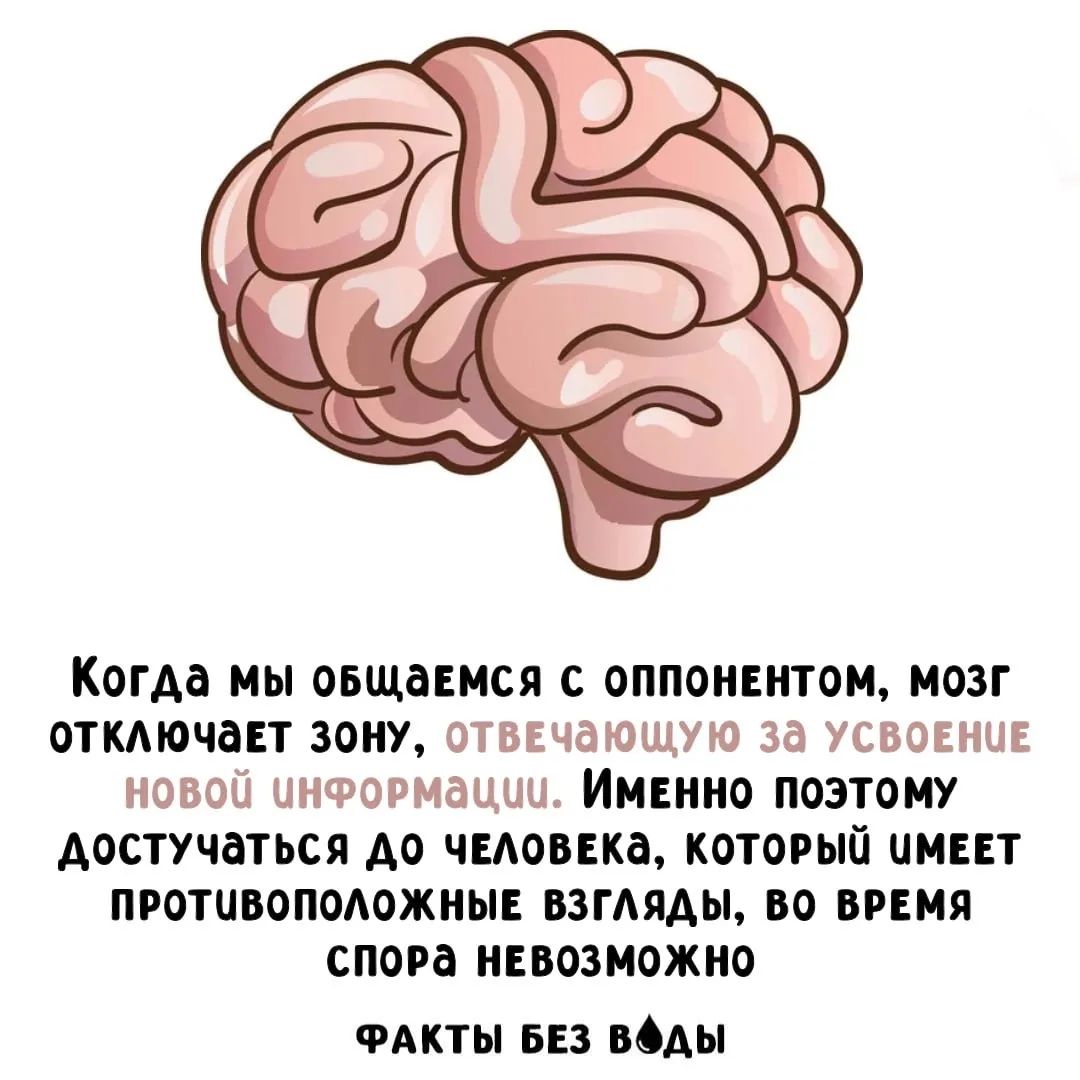 Когда мы общаемся с оппонентом, мозг отключает зону, отвечающую за усвоение новой информации. Именно поэтому достучаться к человеку, который имеет противоположные взгляды, во время спора невозможно. Факты без воды