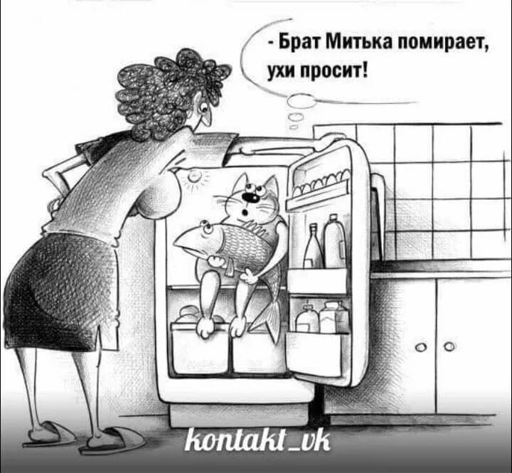 - Брат Митька помирает, ухи просит!