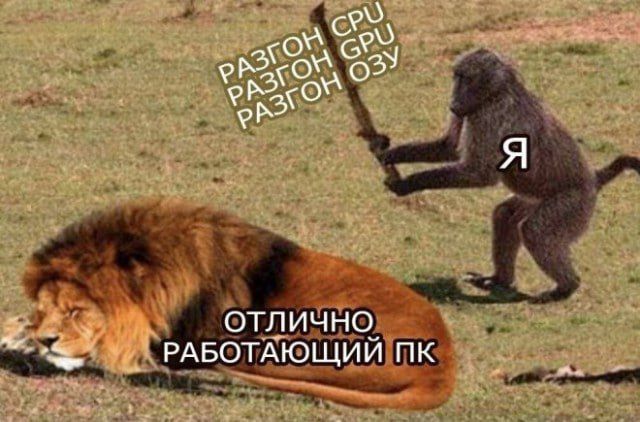 РАЗГОН CPU
РАЗГОН GPU
РАЗГОН ОЗУ
Я
ОТЛИЧНО РАБОТАЮЩИЙ ПК