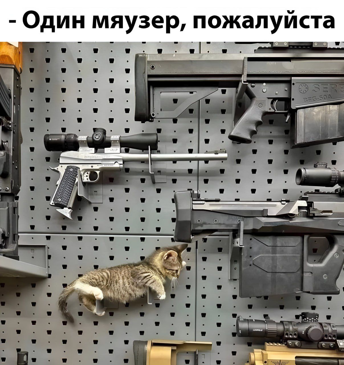 - Один мяуэзер, пожалуйста