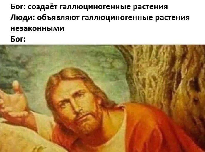 Бог: создаёт галлюцигенные растения
Люди: объявляют галлюцигенные растения незаконными
Бог: