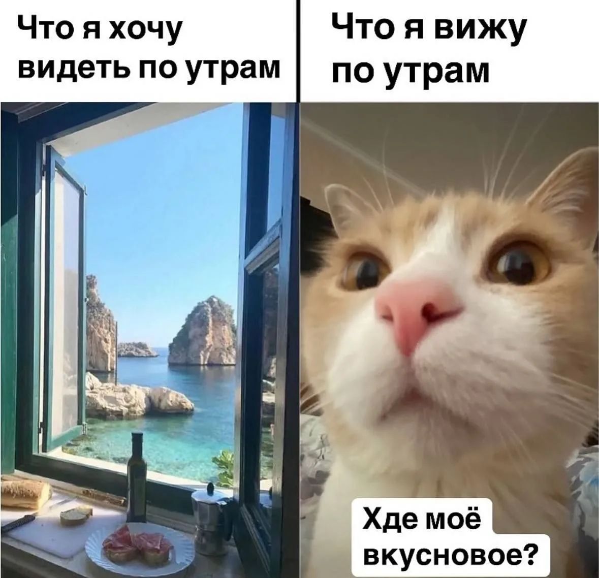 Что я хочу видеть по утрам
Что я вижу по утрам
Хде моё вкусновое?