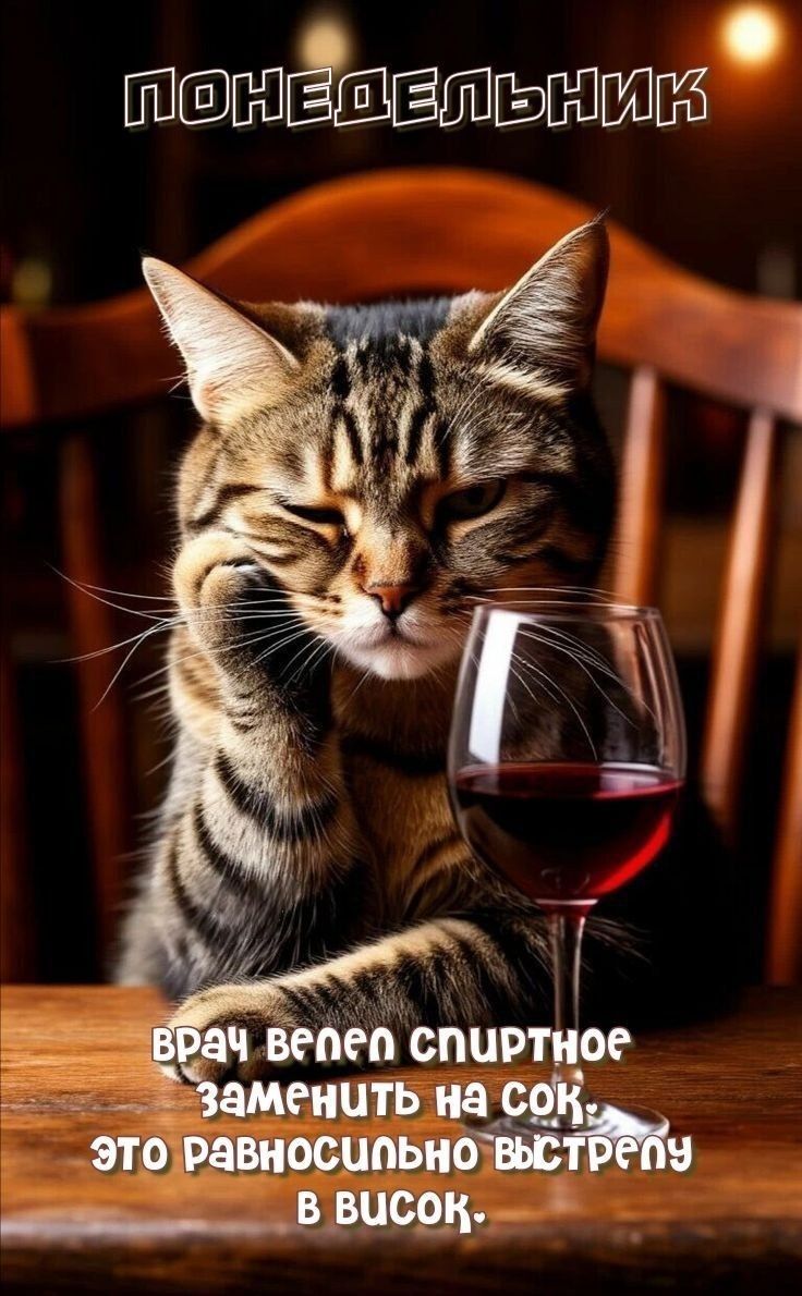 ПОНЕДЕЛЬНИК
врач велел спиртное заменить на сок, это равноценно выстрелу в висок.
