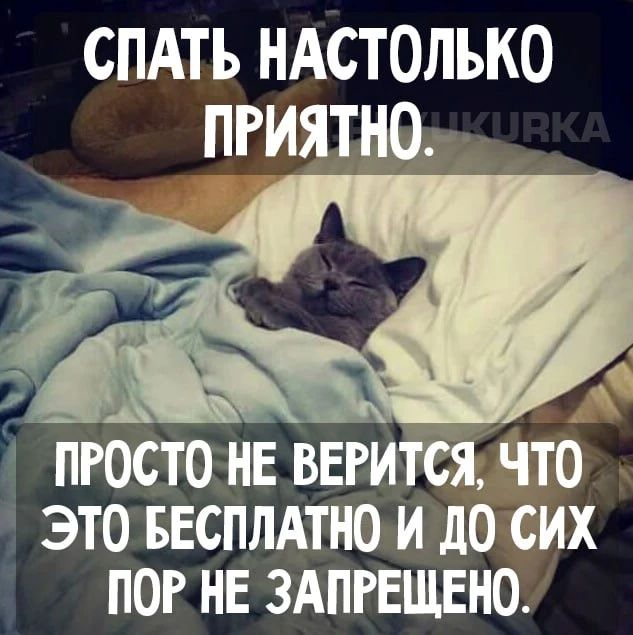 СПАТЬ НАСТОЛЬКО ПРИЯТНО. ПРОСТО НЕ ВЕРИТСЯ, ЧТО ЭТО БЕСПЛАТНО И ДО СИХПОР НЕ ЗАПРЕЩЕНО.