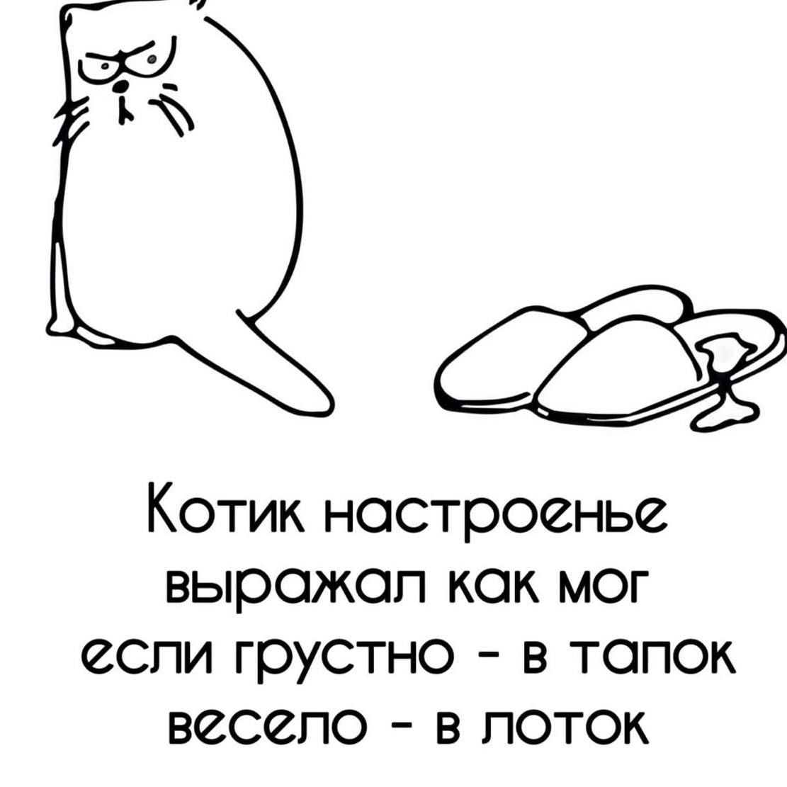 Котик настроенное выражал как мог: если грустно — в тапок, весело — в лоток