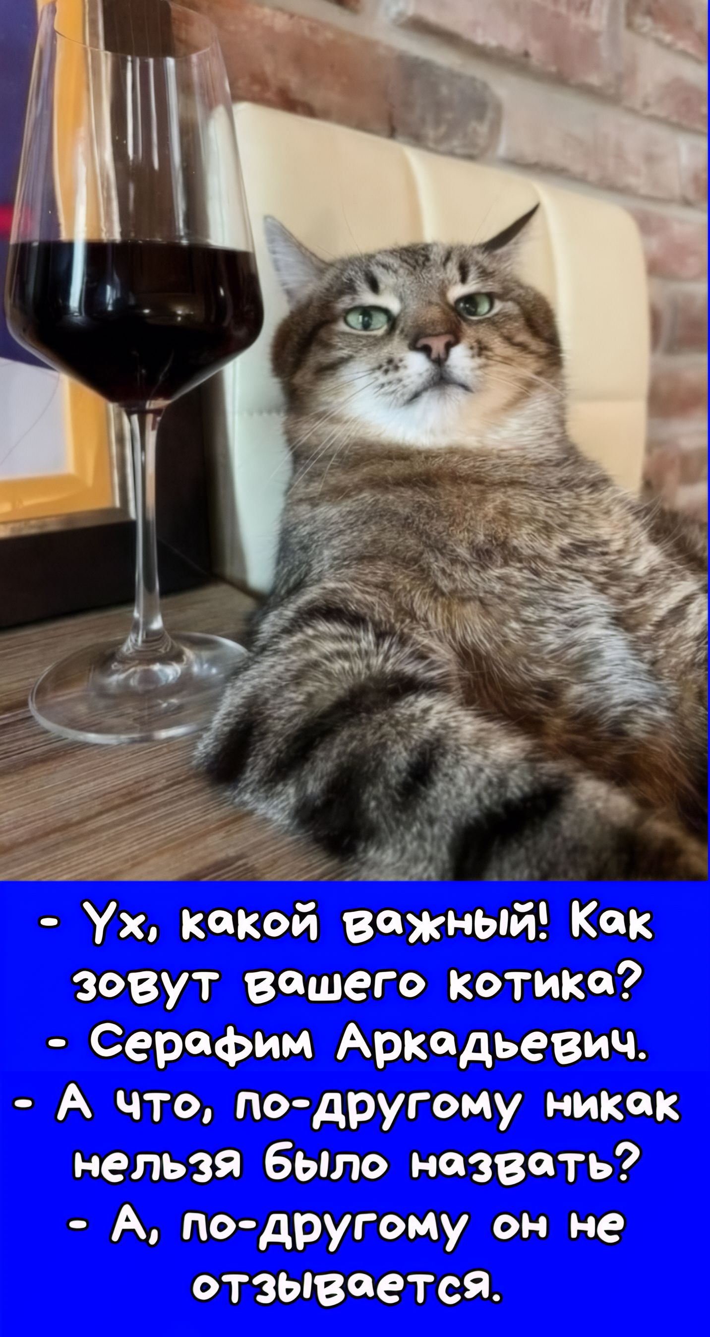 - Ух, какой важный! Как зовут вашего котика?
- Серафим Аркадьевич.
- А, что, по-другому никак нельзя было назвать?
- А, по-другому он не отвечает.
