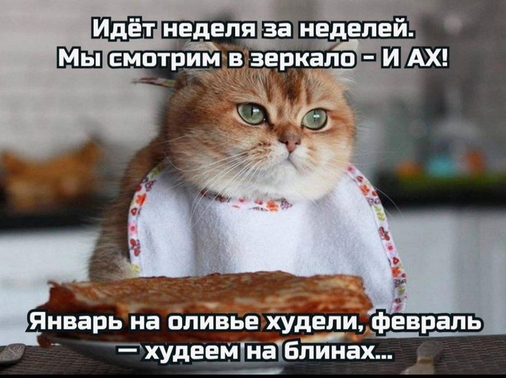 Идёт неделя за неделей. Мы смотрим в зеркало - И АХ! Январь на оливье худели, февраль - худеем на блинах...
