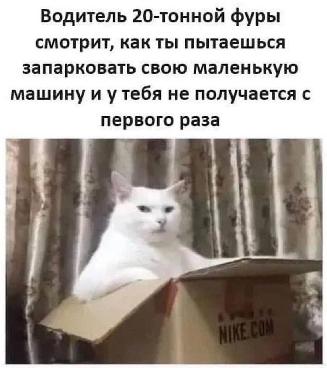 Водитель 20-тонной фуры смотрит, как ты пытаешься запарковать свою маленьенькую машину и у тебя не получается с первого раза