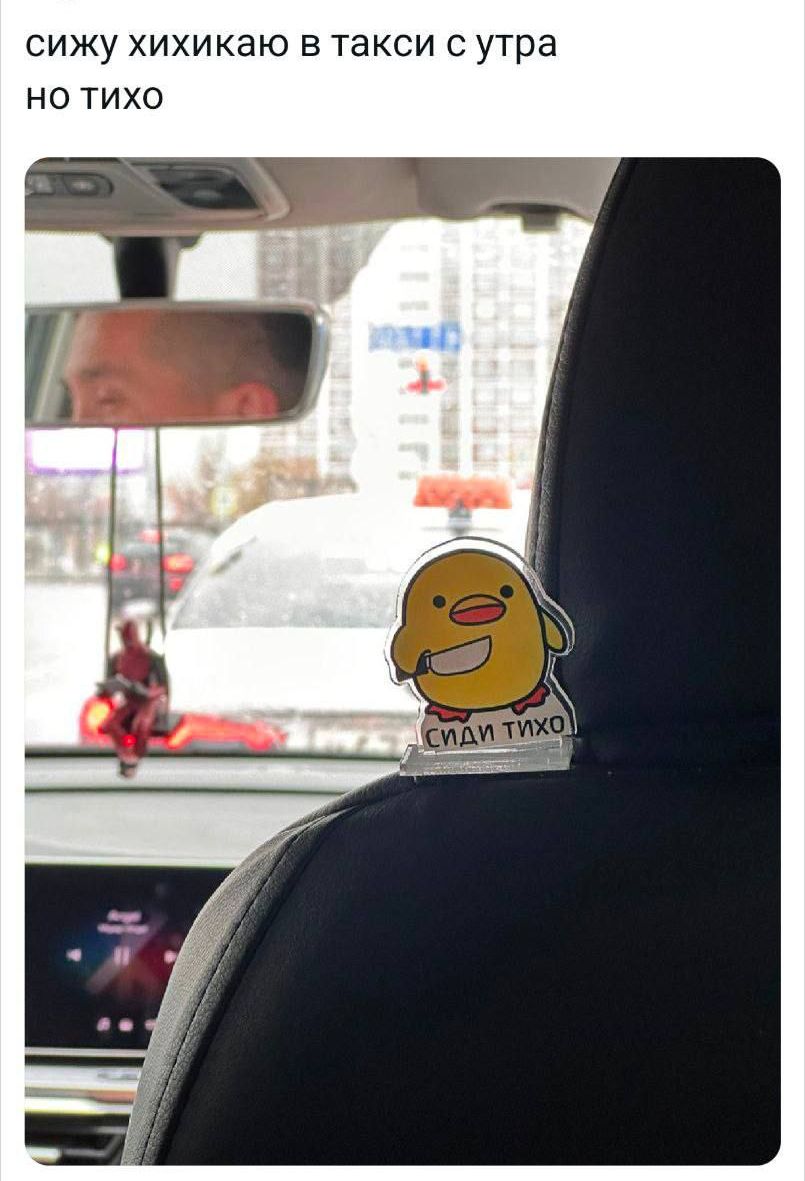 сижу хихикаю в такси с утра но тихо
спи тихо