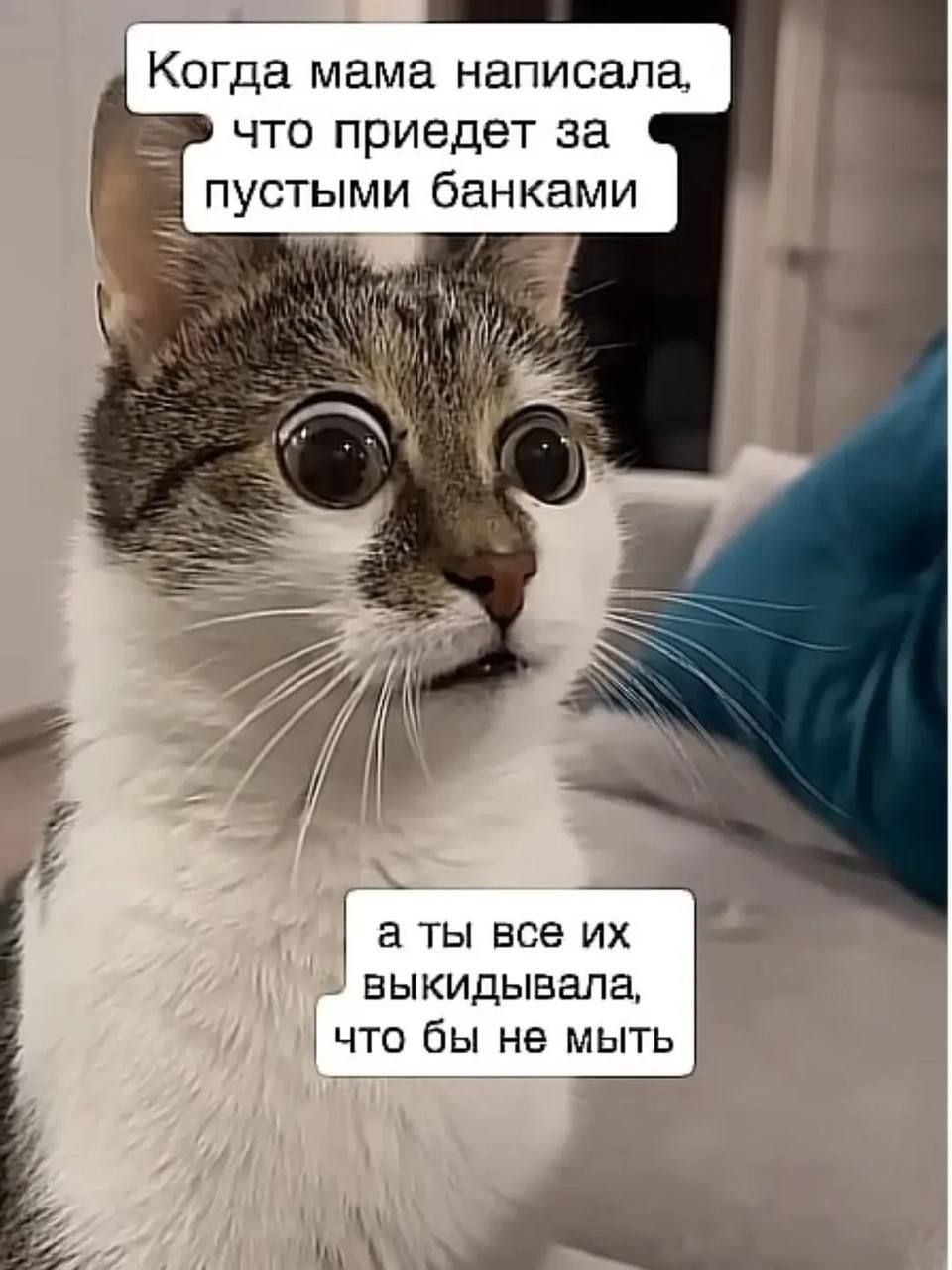 Когда мама написала, что придет за пустыми банками
а ты все их выкидывала, что бы не мыть