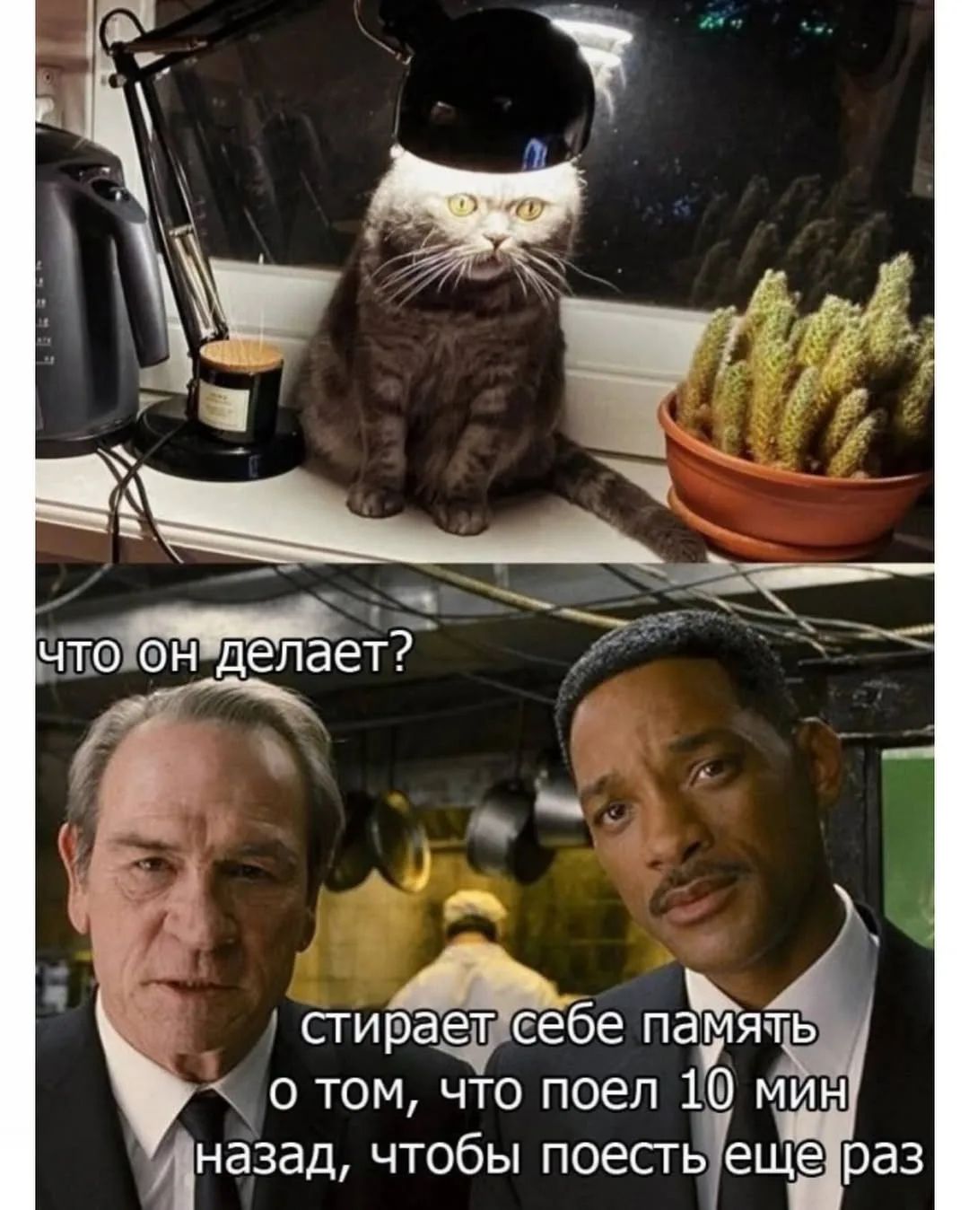 ЧТО он делает?
стирает себе память о том, что поел 10 мин назад, чтобы поесть еще раз