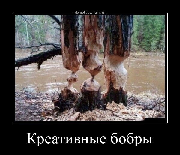 Креативные бобры