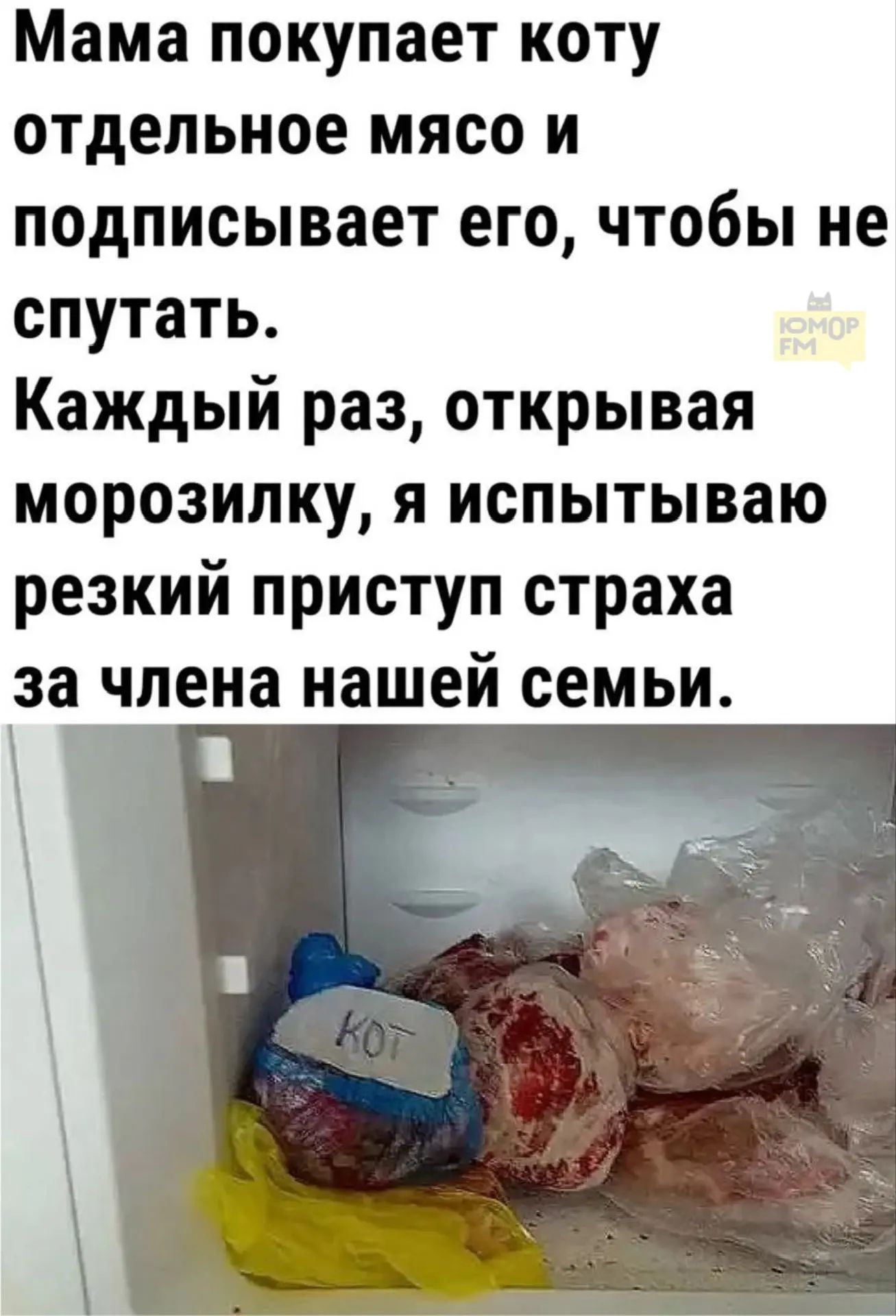 Мама покупает коту отдельное мясо и подписывает его, чтобы не спутать. Каждый раз, открывая морозилку, я испытываю резкий приступ страха за члена нашей семьи.