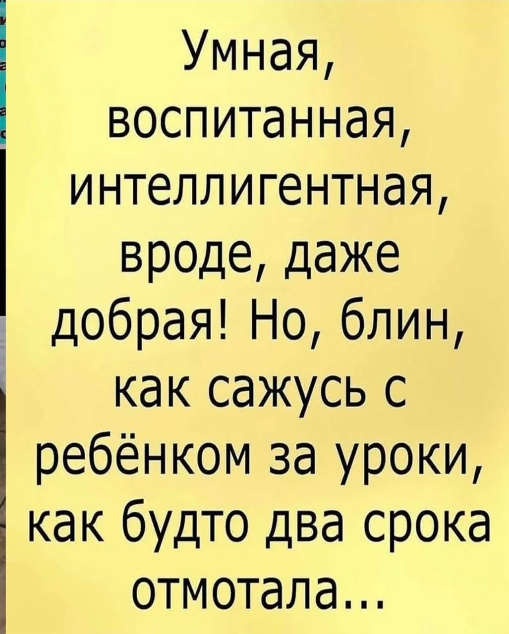 Умная, воспитанная, интеллигентная, вроде, даже добрая! Но, блин, как сажусь с ребёнком за уроки, как будто два срока отмотала…