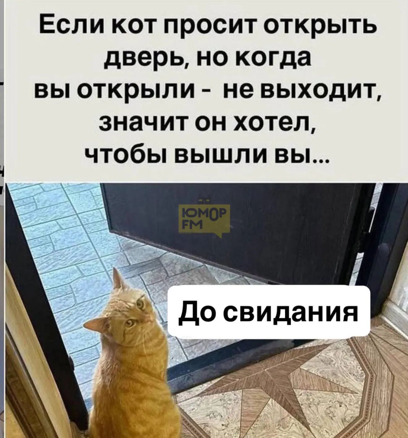 Если кот просит открыть дверь, но когда вы открыли - не выходит, значит он хотел, чтобы вышли вы... До свидания