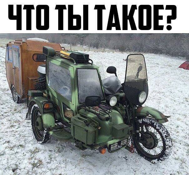 ЧТО ТЫ ТАКОЕ?
